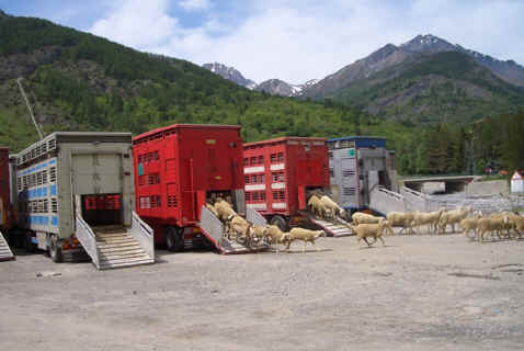 bardonecchia