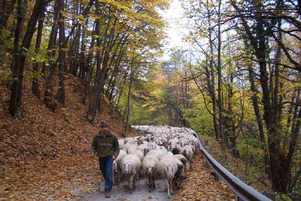 val di susa