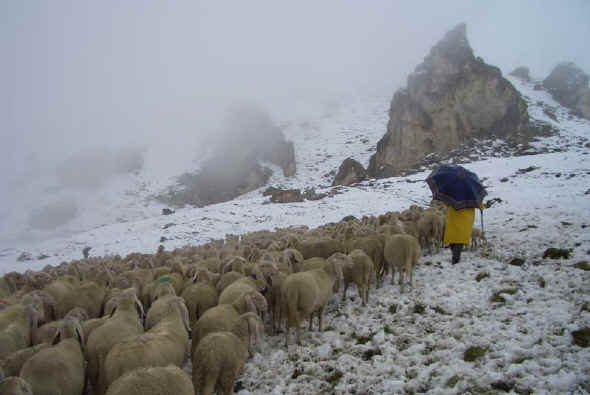 neve all'alpe tour